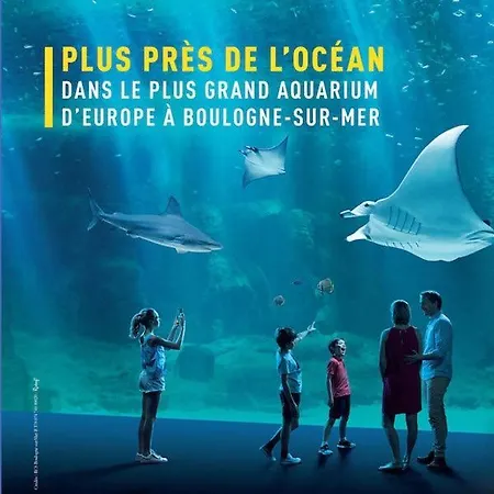 Lejlighed L'escale - Vue Port, Proche & Nausicaa Boulogne-sur-Mer